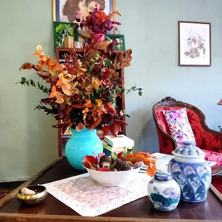 Leo Anfosso Хостел Carpasio