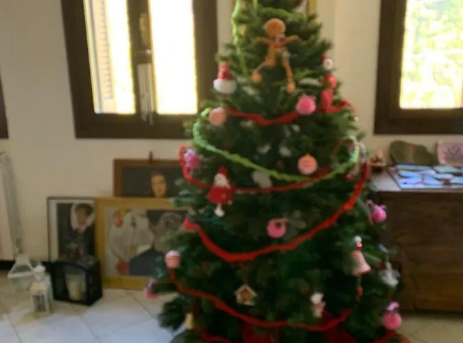 Leo Anfosso Vandrarhem Carpasio